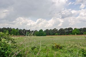 Photo 19- click for photo gallery